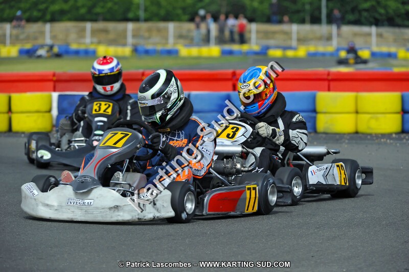 DSC_ (2450).jpg